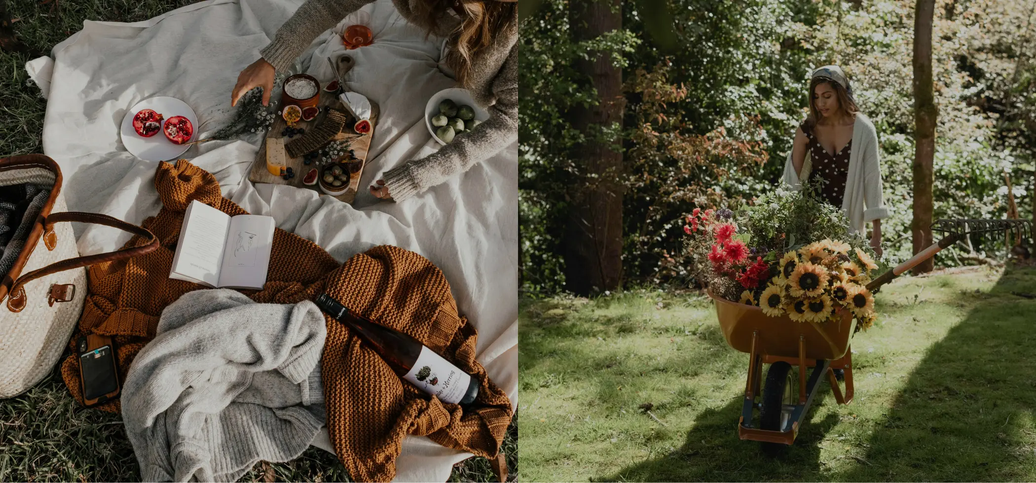 Accueil Accueil accueil